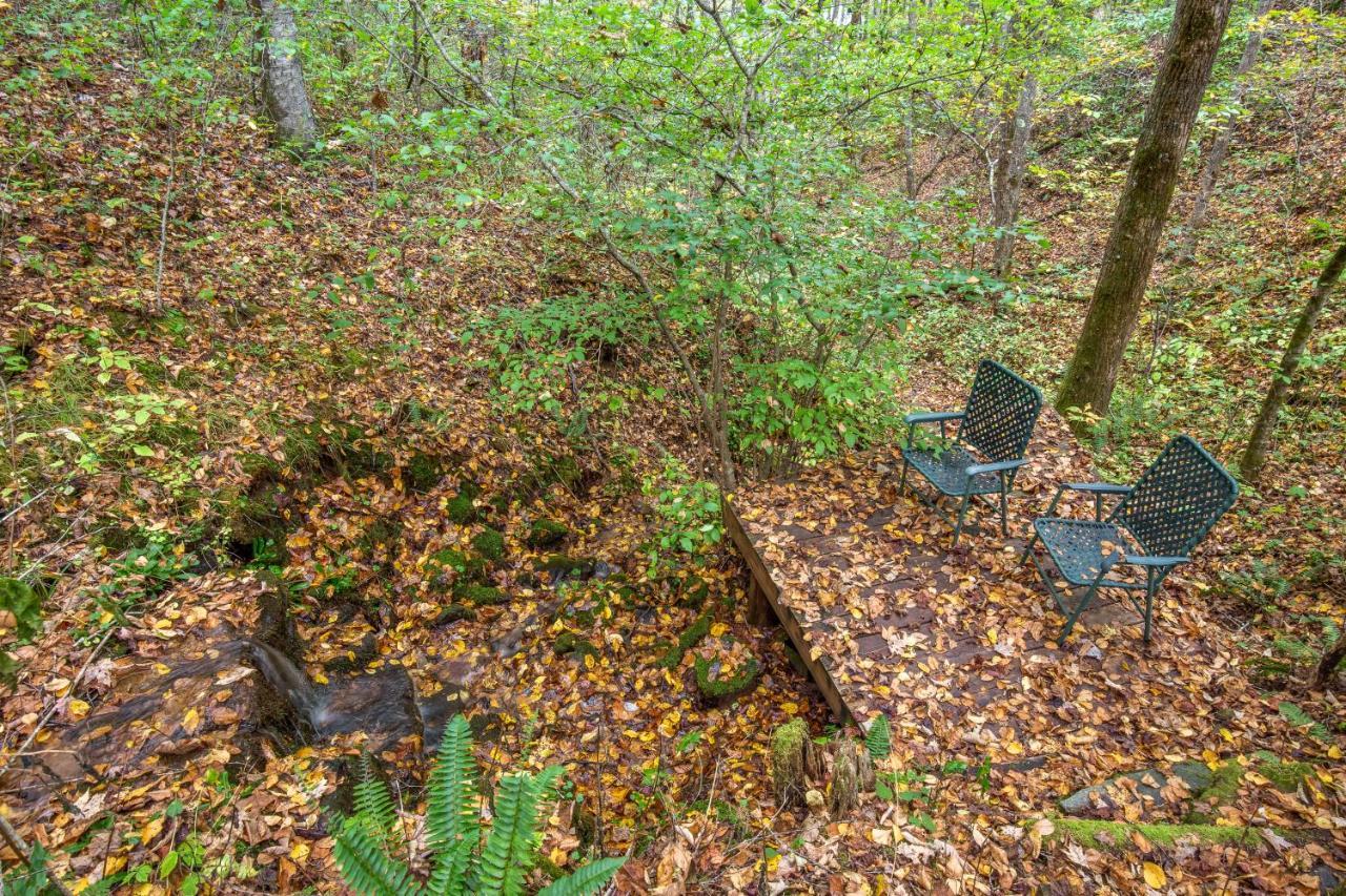 Mountain Top Tranquility Sylva Exterior photo