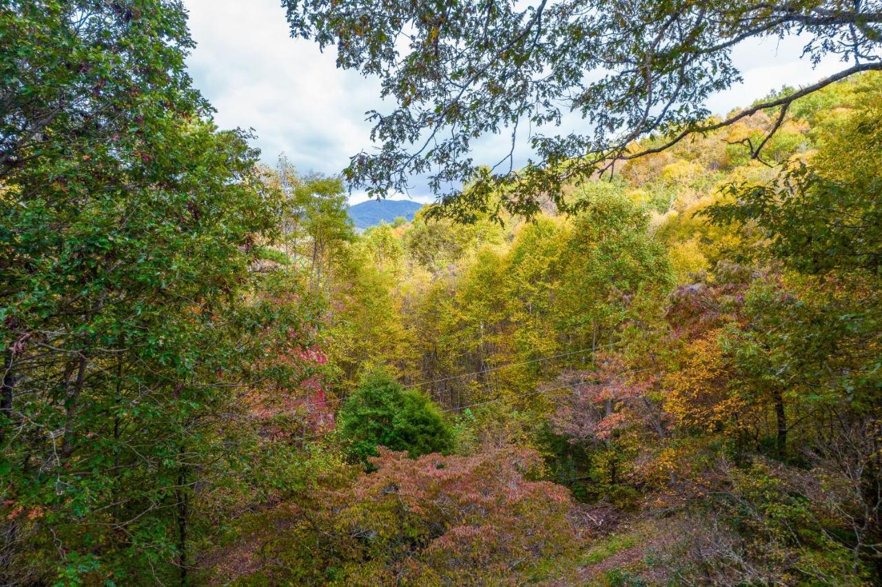 Mountain Top Tranquility Sylva Exterior photo